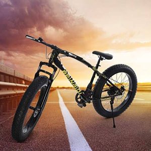 Mountain [fat] bikes